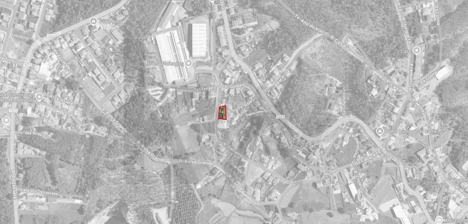 Terreno para Venda em Caldas de São Jorge e Pigeiros Foto 13