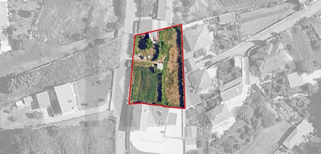 Terreno para Venda em Caldas de São Jorge e Pigeiros Foto 7