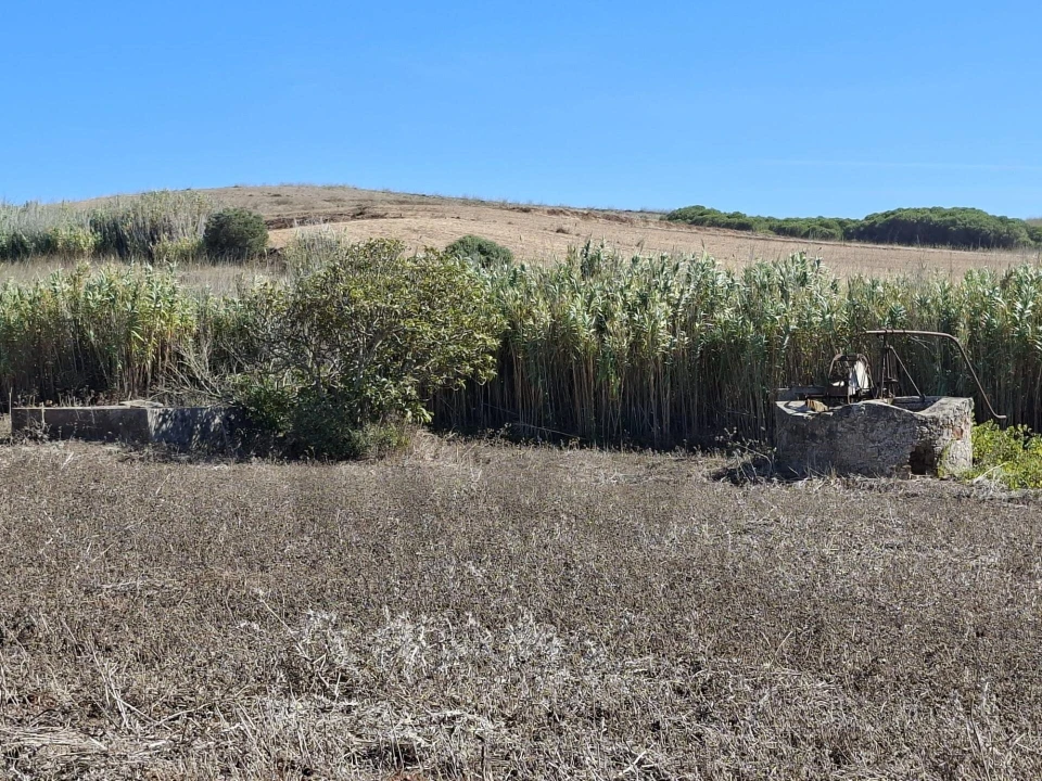 Terreno para Venda em Vila do Bispo e Raposeira Foto 19