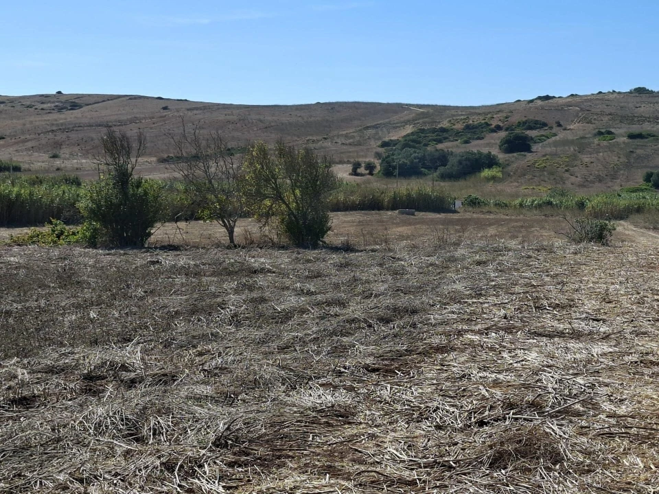Terreno para Venda em Vila do Bispo e Raposeira Foto 9