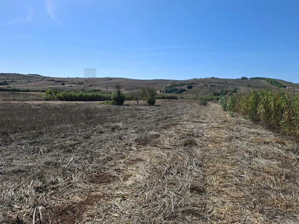 Terreno para Venda em Vila do Bispo e Raposeira Foto 11
