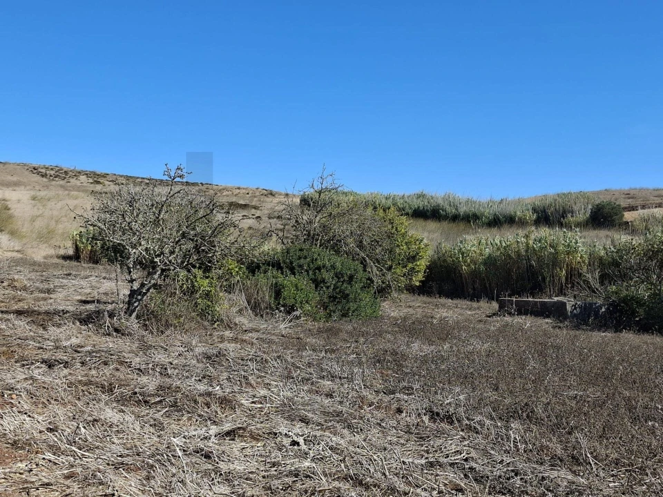 Terreno para Venda em Vila do Bispo e Raposeira Foto 18