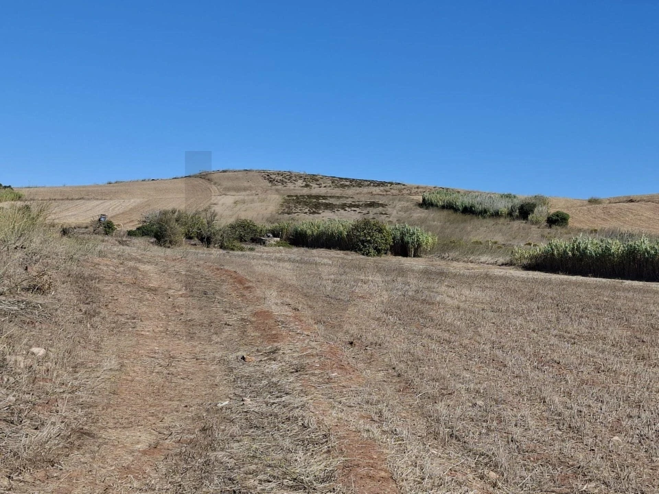 Terreno para Venda em Vila do Bispo e Raposeira Foto 1