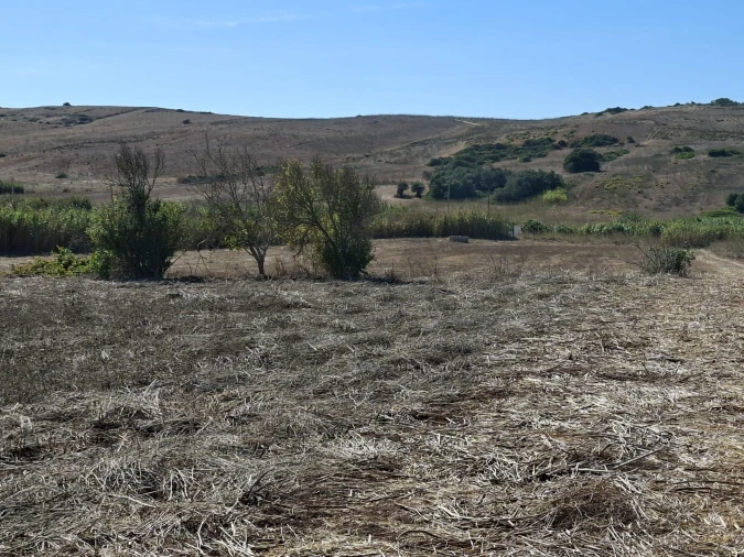 Terreno para Venda em Vila do Bispo e Raposeira Foto 9