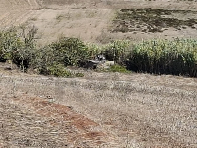 Terreno para Venda em Vila do Bispo e Raposeira Foto 21