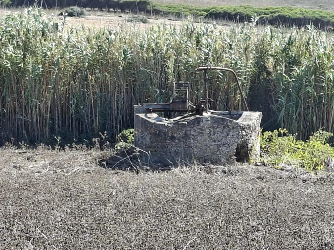 Terreno para Venda em Vila do Bispo e Raposeira Foto 8