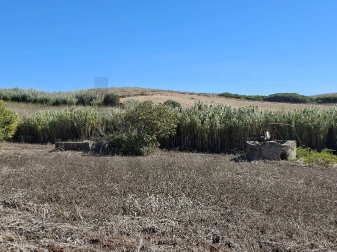 Terreno para Venda em Vila do Bispo e Raposeira Foto 15