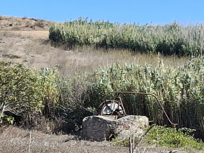 Terreno para Venda em Vila do Bispo e Raposeira Foto 2