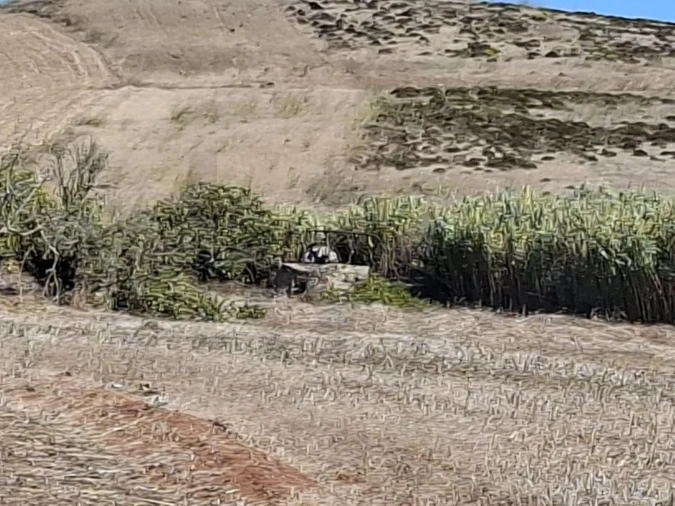 Terreno para Venda em Vila do Bispo e Raposeira Foto 22