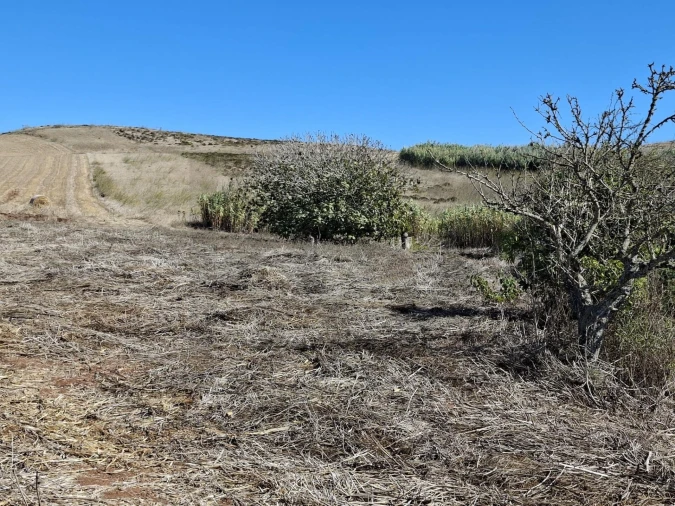 Terreno para Venda em Vila do Bispo e Raposeira Foto 16