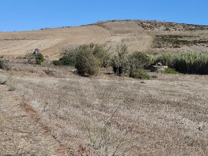Terreno para Venda em Vila do Bispo e Raposeira Foto 17