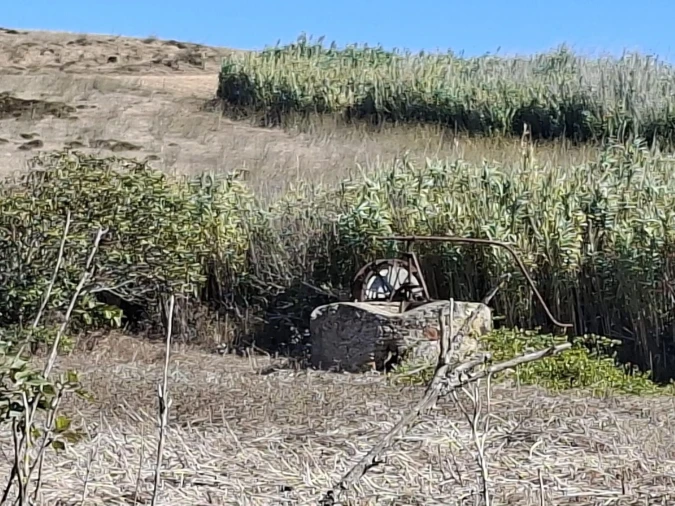 Terreno para Venda em Vila do Bispo e Raposeira Foto 4