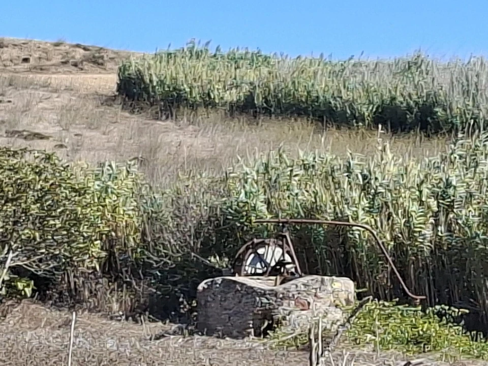 Terreno para Venda em Vila do Bispo e Raposeira Foto 2