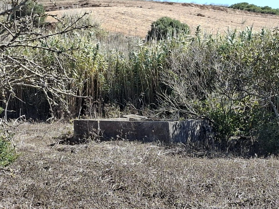Terreno para Venda em Vila do Bispo e Raposeira Foto 13