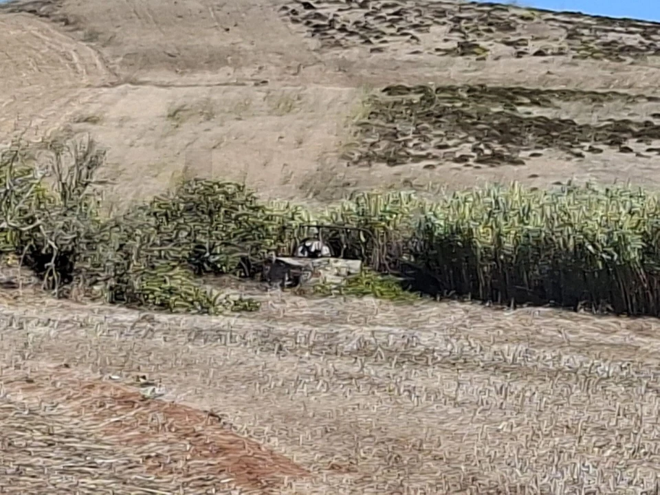 Terreno para Venda em Vila do Bispo e Raposeira Foto 22