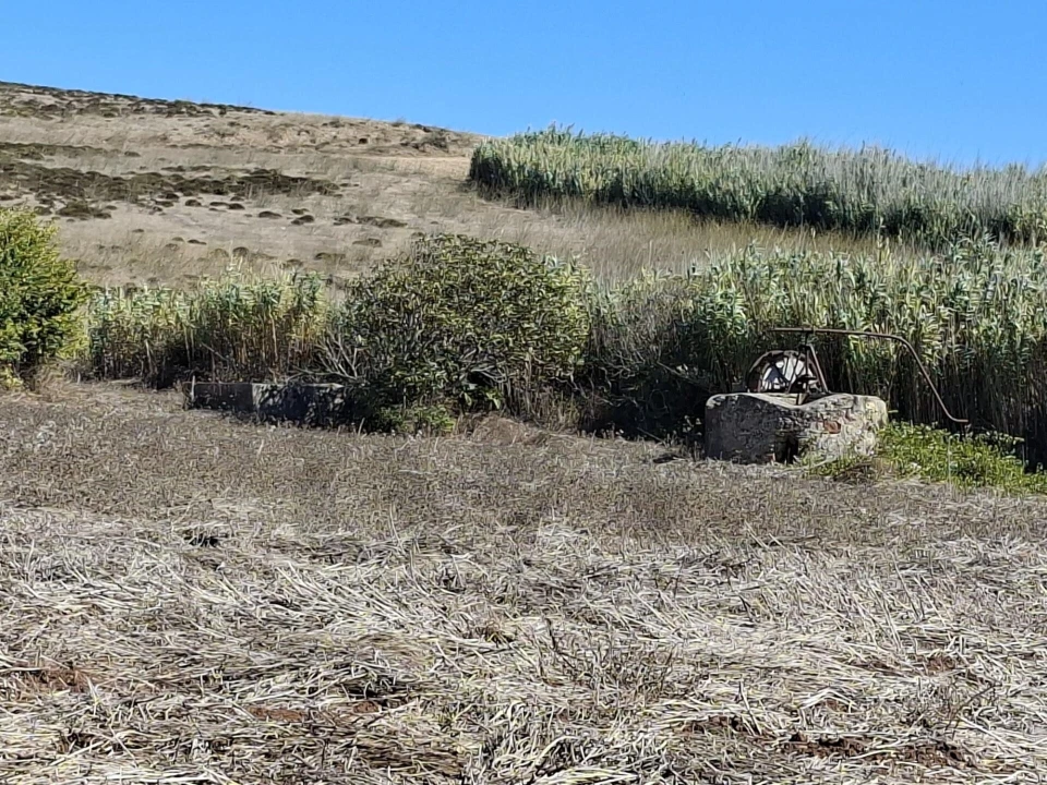 Terreno para Venda em Vila do Bispo e Raposeira Foto 14