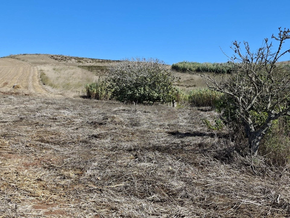 Terreno para Venda em Vila do Bispo e Raposeira Foto 16