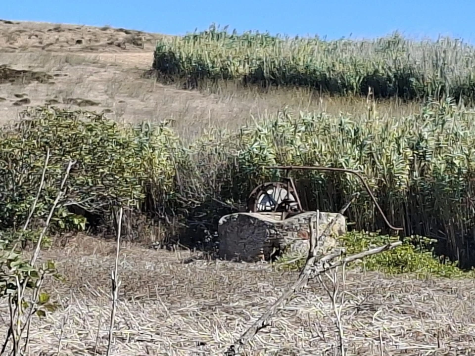 Terreno para Venda em Vila do Bispo e Raposeira Foto 4