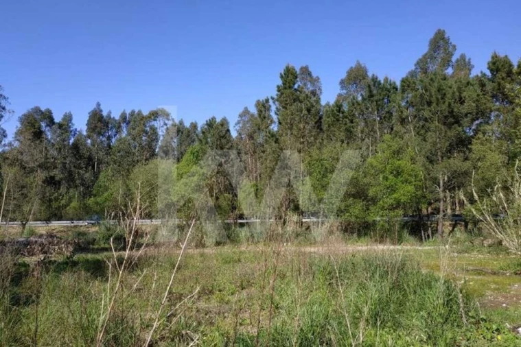 Terreno para Venda em Serzedo e Perosinho Foto 15