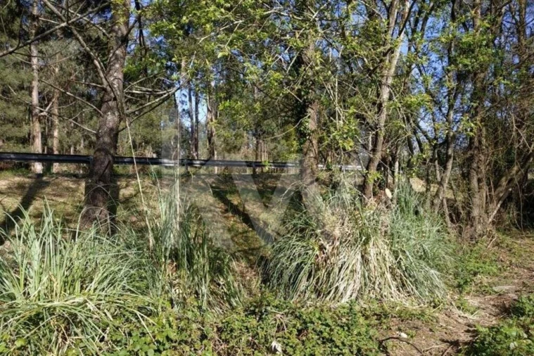 Terreno para Venda em Serzedo e Perosinho Foto 12