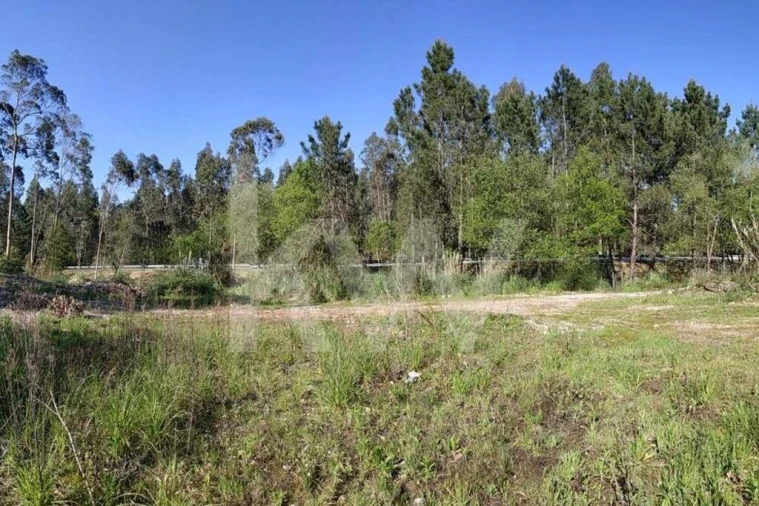 Terreno para Venda em Serzedo e Perosinho Foto 17