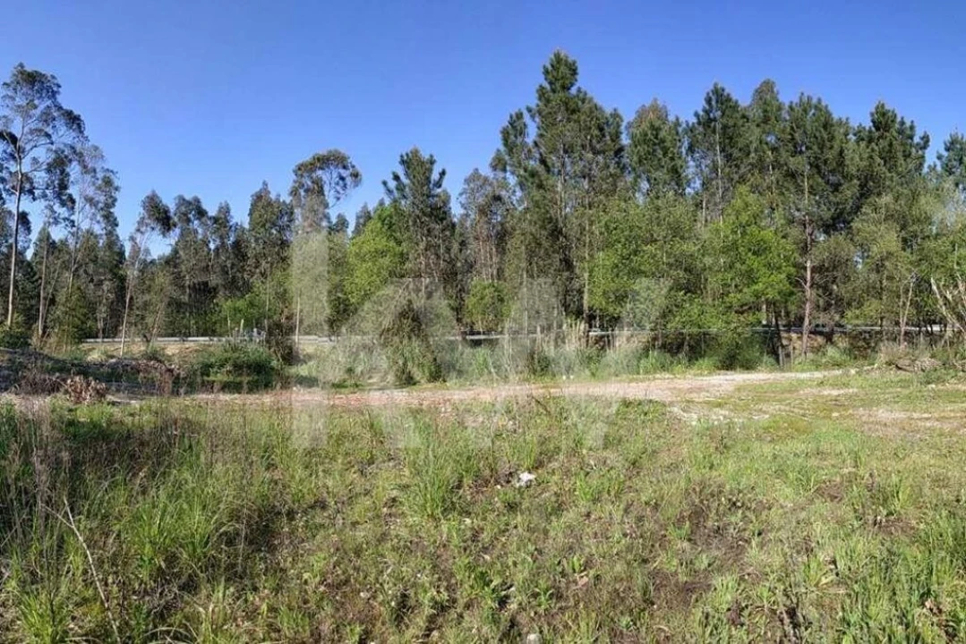 Terreno para Venda em Serzedo e Perosinho Foto 7