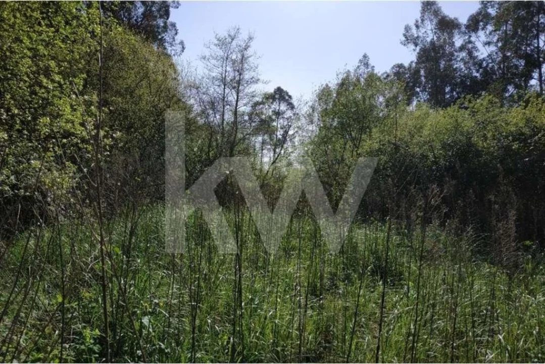 Terreno para Venda em Serzedo e Perosinho Foto 14