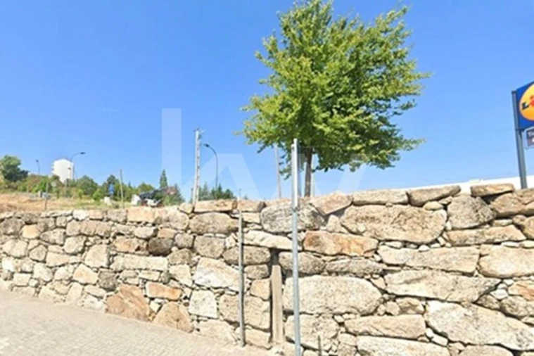 Terreno para Venda em Avelãs de Ambom e Rocamondo Foto 6