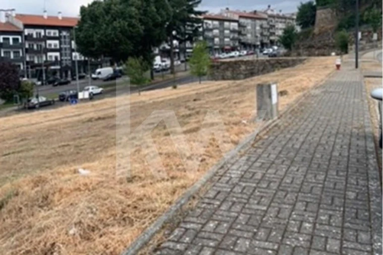 Terreno para Venda em Avelãs de Ambom e Rocamondo Foto 10