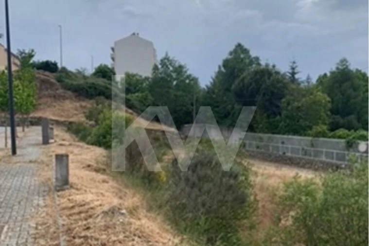 Terreno para Venda em Avelãs de Ambom e Rocamondo Foto 12