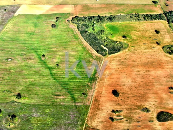 Terreno para Venda em Entradas Foto 7