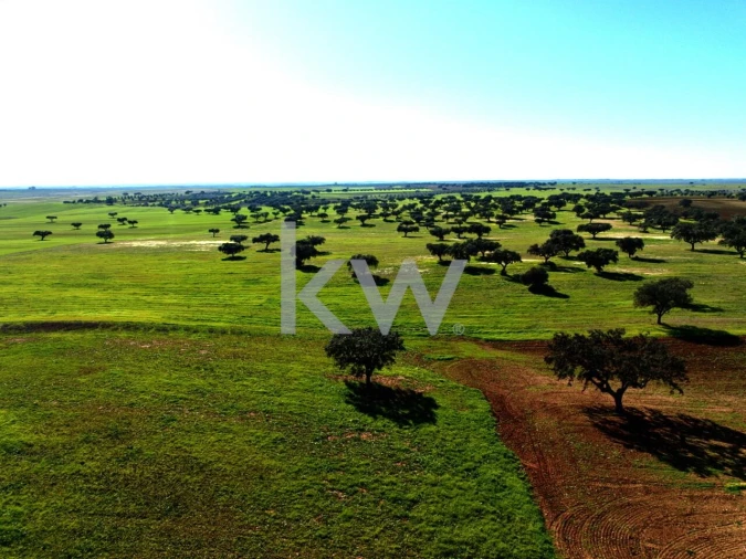 Terreno para Venda em Entradas Foto 22