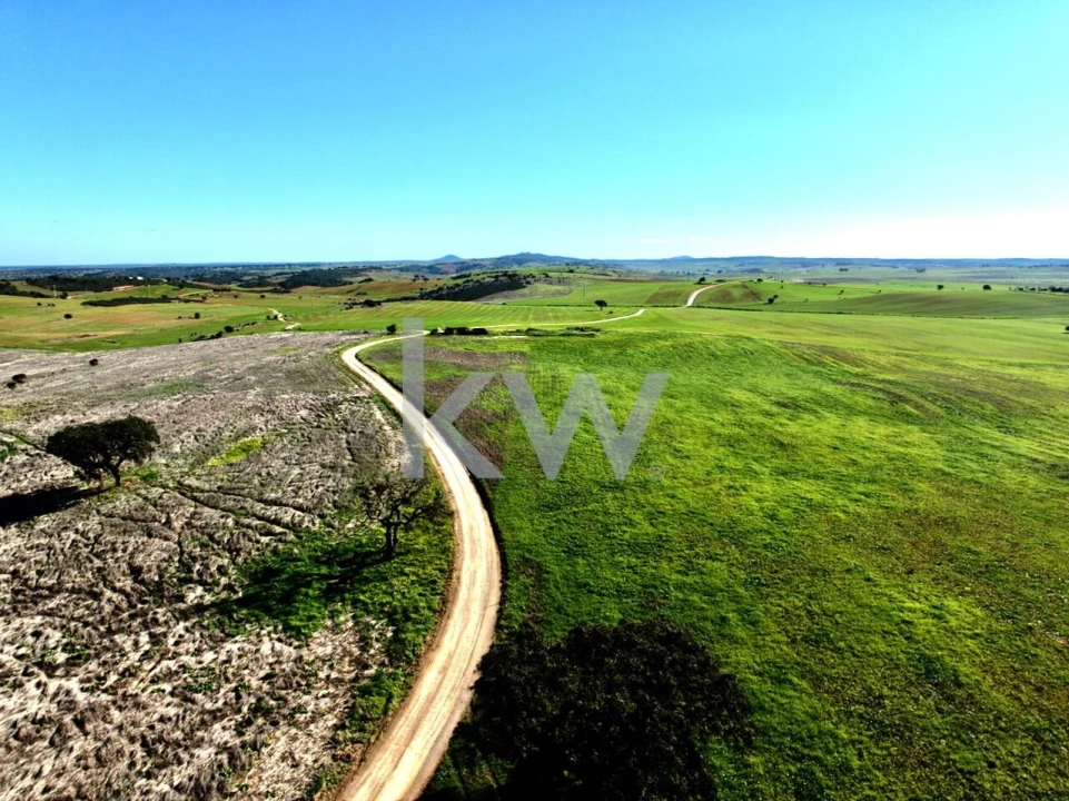 Terreno para Venda em Entradas Foto 23
