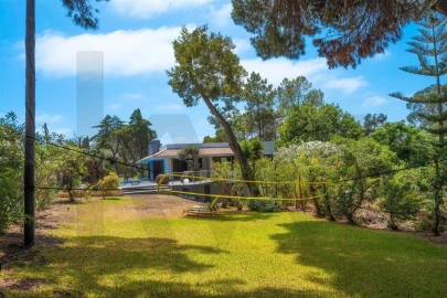 Moradia T5 para Venda em Albufeira e Olhos de Água