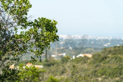 Terreno para Venda em Conceição e Estoi