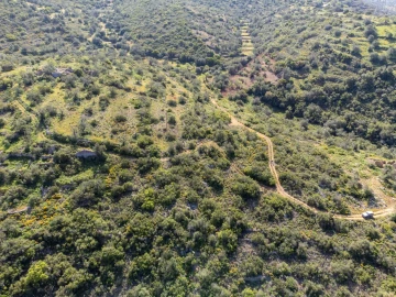 Terreno para Venda em Conceição e Estoi