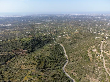 Terreno para Venda em Conceição e Estoi