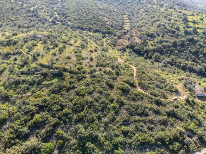 Terreno para Venda em Conceição e Estoi Foto 20