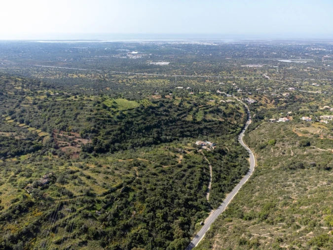 Terreno para Venda em Conceição e Estoi Foto 21