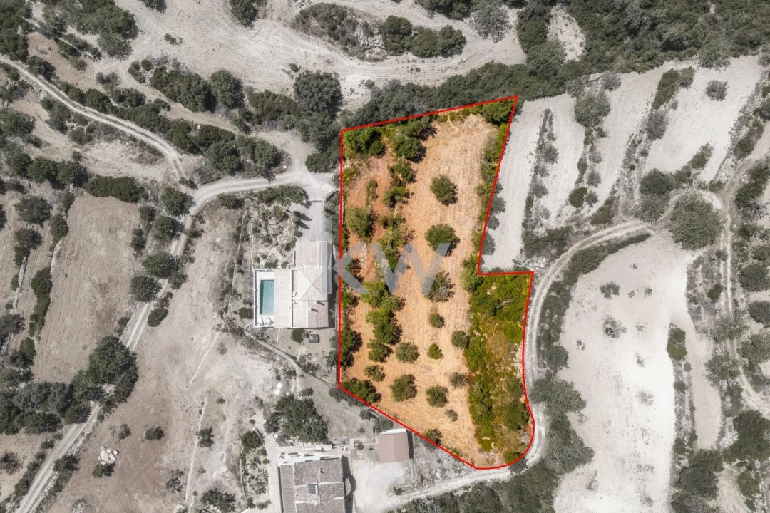 Terreno para Venda em Conceição e Estoi Foto 1