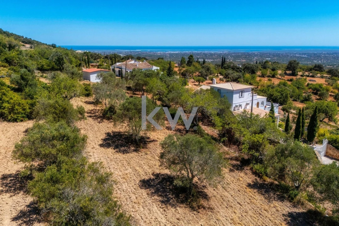 Terreno para Venda em Conceição e Estoi Foto 8