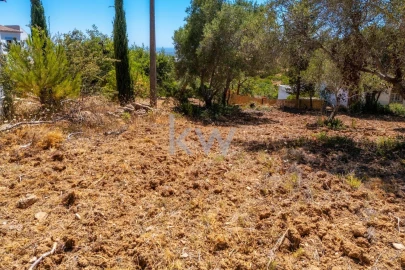 Terreno para Venda em Conceição e Estoi