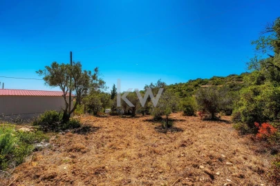 Terreno para Venda em Conceição e Estoi
