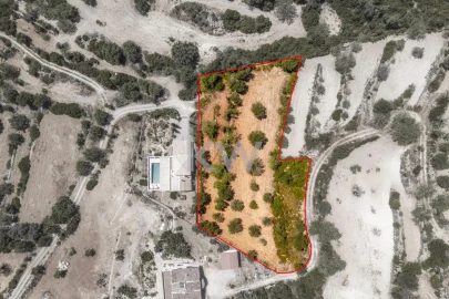 Terreno para Venda em Conceição e Estoi