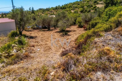 Terreno para Venda em Conceição e Estoi