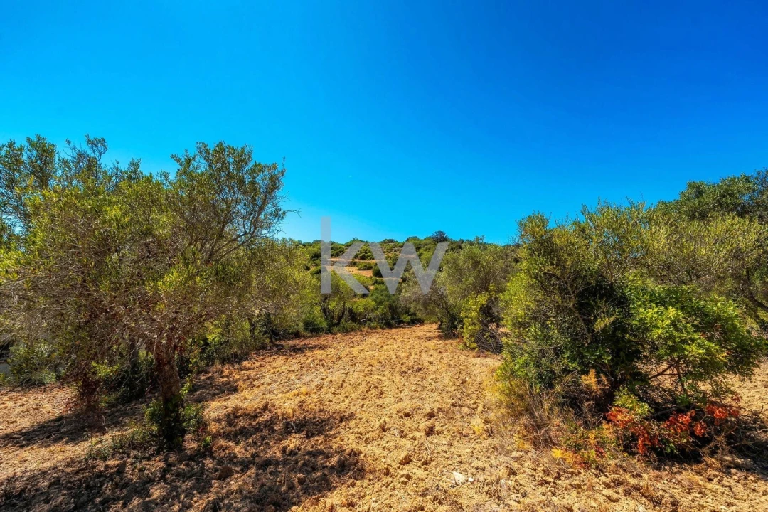 Terreno para Venda em Conceição e Estoi Foto 22