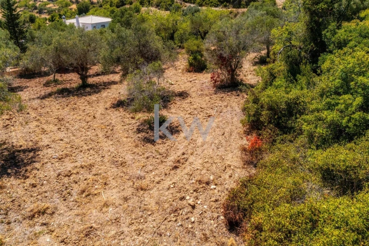 Terreno para Venda em Conceição e Estoi Foto 12