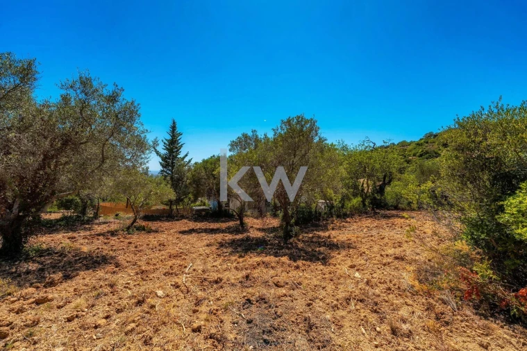 Terreno para Venda em Conceição e Estoi Foto 29