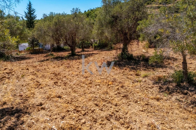 Terreno para Venda em Conceição e Estoi Foto 14