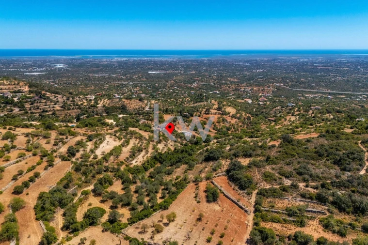 Terreno para Venda em Conceição e Estoi Foto 4